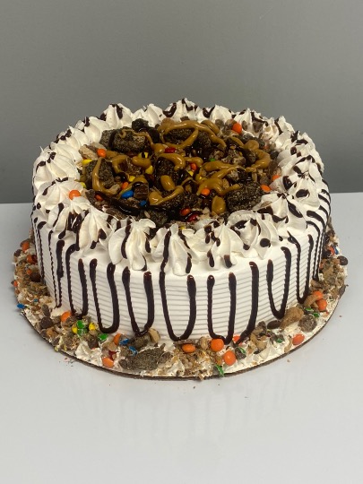 Special Treat Ice Cream Cake